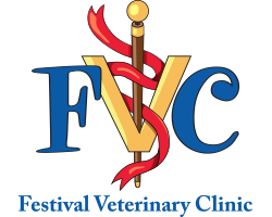 Festival Veterinary Clinic