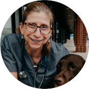 Dr. Ellen H. Cianelli