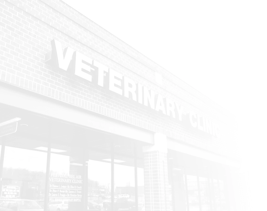 Exterior view of the Festival Bel Air Veterinary Clinic building with prominent veterinary clinic signage.
