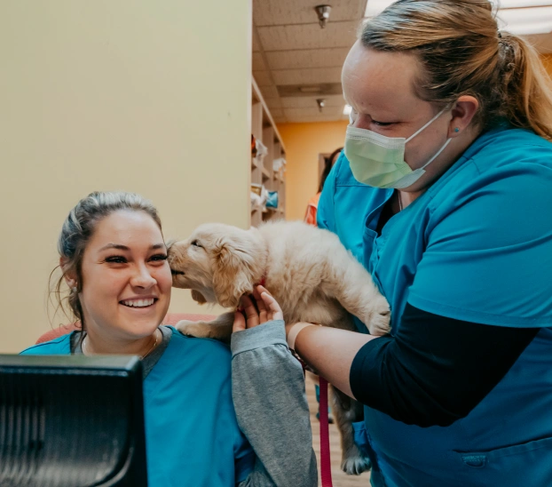 Two veterinary staff members in blue scrubs smiling as a golden retriever puppy licks one of their faces at an animal clinic