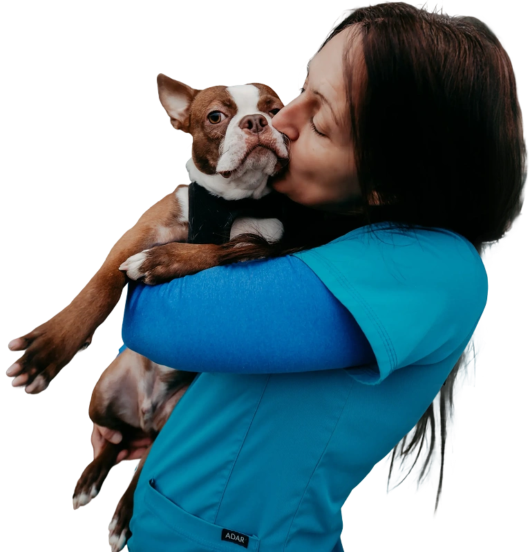 Mobile app interface for pet care, featuring scheduling, reminders, and pet health tracking tools.