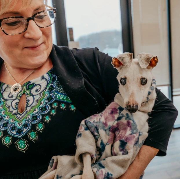 A woman with glasses gently holding a small white Italian Greyhound wrapped in a blanket at a veterinary clinic.