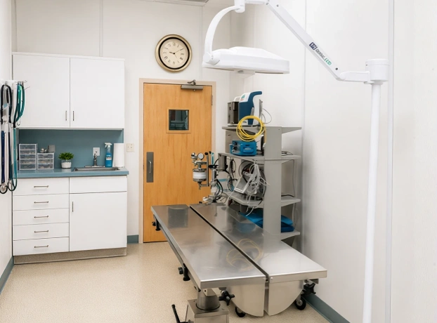 Empty veterinary surgical suite with a stainless steel operating table and anesthesia equipment