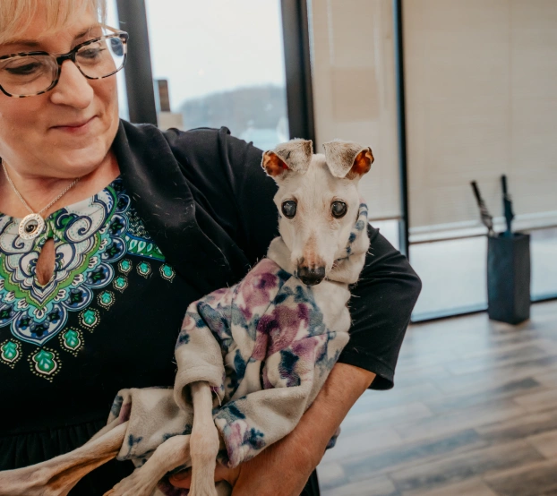 Staff member holding a senior Whippet dog wrapped in a cozy blanket