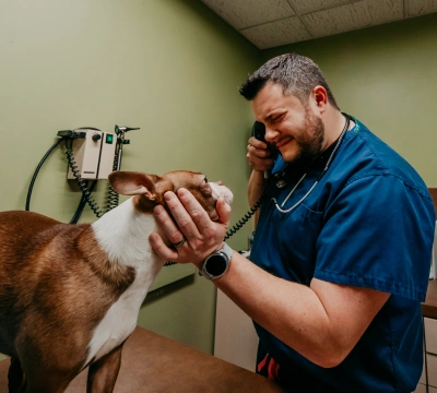 Veterinary staff member checking a dog's ear with an otoscope during an exam