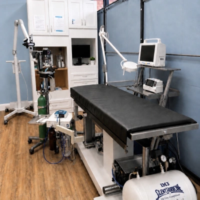 Veterinary dental suite with an exam table, monitors, dental equipment, and anesthesia machine